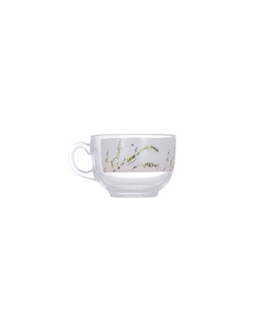 Сервиз LUMINARC EVOLUTION TROMPETTE /6х220 мл д/чая (P6876)