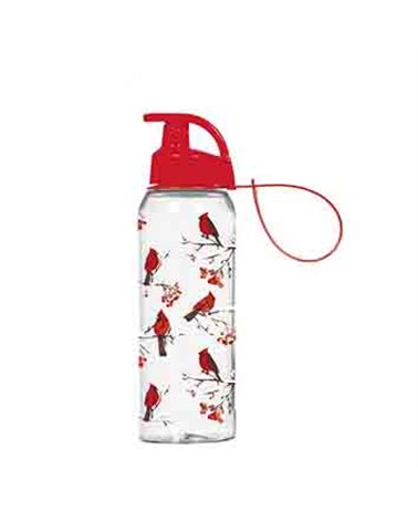 Бутылка для спорта HEREVIN RED BIRD (161415-330)