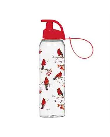 Бутылка для спорта HEREVIN RED BIRD (161405-330)